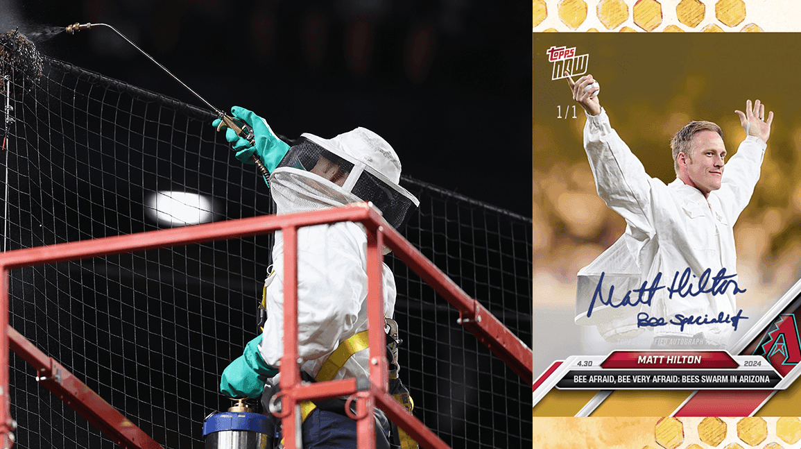Cover Image for Diamondbacks beekeeper gets Topps card as part of newfound fame