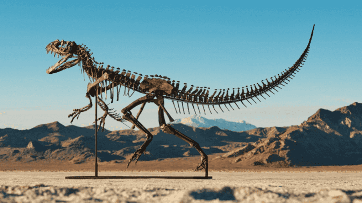 Cover Image for Ceratosaurus dinosaur could fetch $6 million in Sotheby's auction