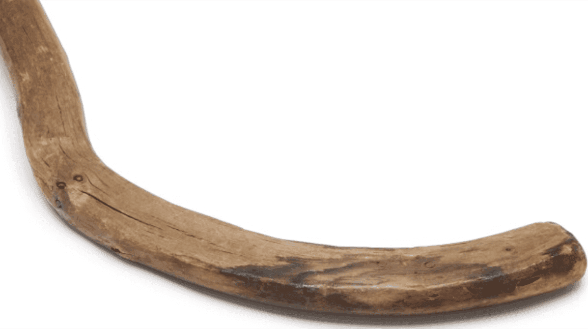 Cover Image for Stored in an umbrella stand, one of oldest hockey sticks in history could fetch millions